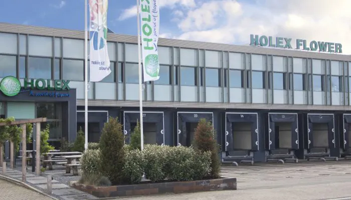 Holex Flower- Werken in de Bloemenhandel